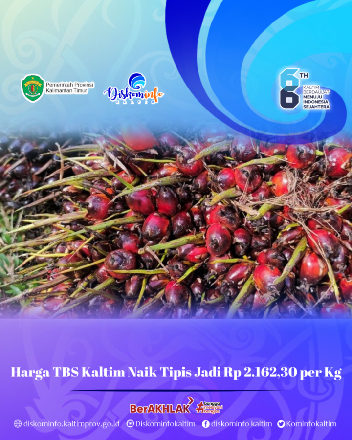 Harga TBS Kaltim Naik Tipis Jadi Rp 2.162,30 per Kg