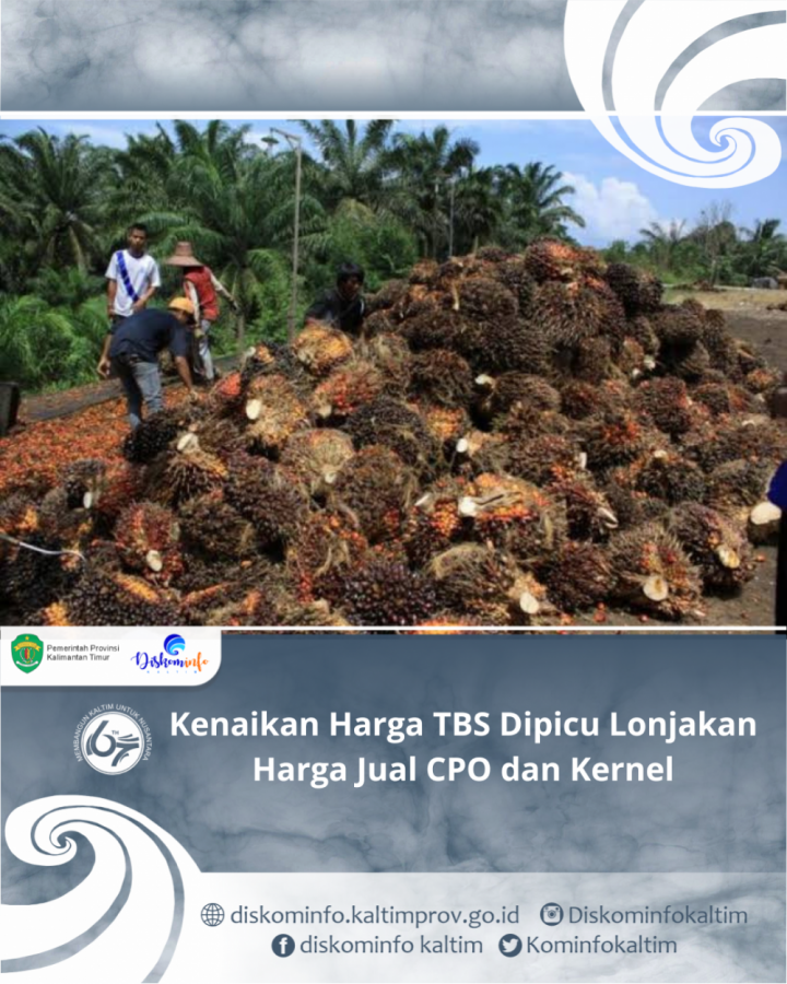 Kenaikan Harga TBS Dipicu Lonjakan Harga Jual CPO dan Kernel