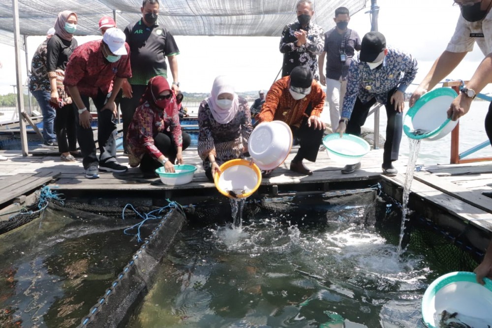 KJA menjadi Bio Indikator Perairan dan Kelangsungan Hidup Ikan