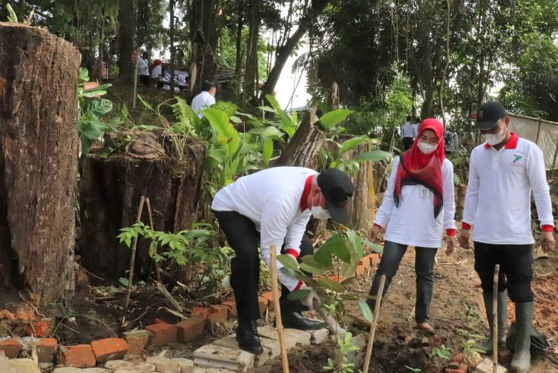 Isran dan Hadi Tanam Elai Durian