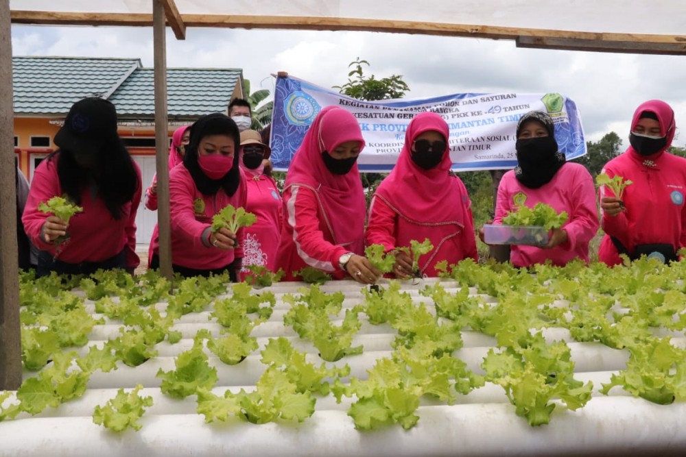 Manfaatkan Pekarangan Menjadi Penunjang  Bagi Kehidupan Sehari hari