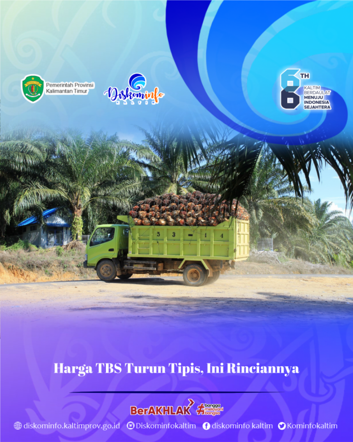 Harga TBS Turun Tipis, Ini Rinciannya