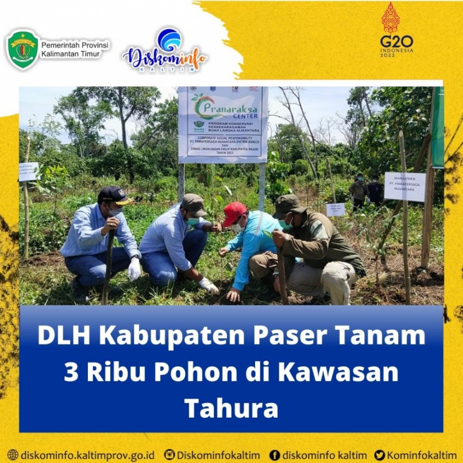 DLH Kabupaten Paser Tanam 3 Ribu Pohon di Kawasan Tahura