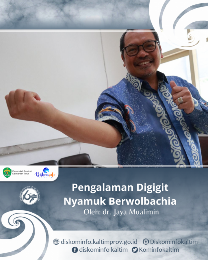 Pengalaman Digigit Nyamuk Berwolbachia 