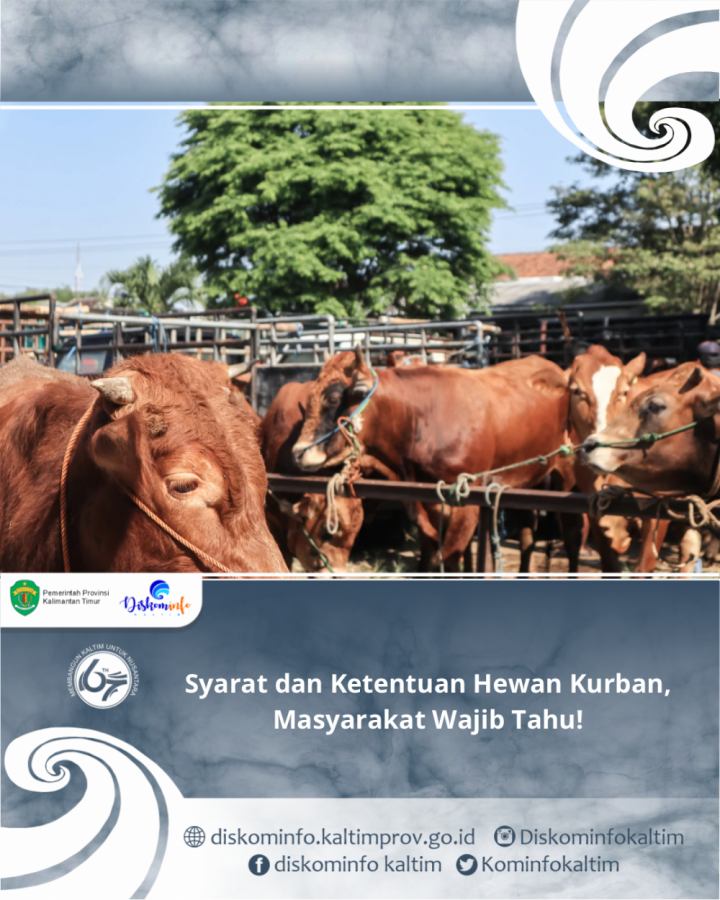 Syarat dan Ketentuan Hewan Kurban, Masyarakat Wajib Tahu!