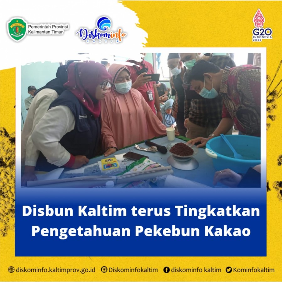 Disbun Kaltim Terus Tingkatkan Pengetahuan Pekebun Kakao