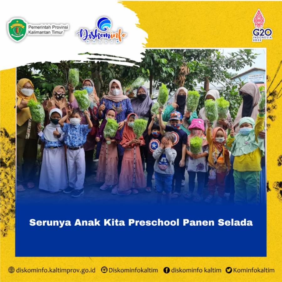 Serunya Anak Kita Preschool Panen Selada