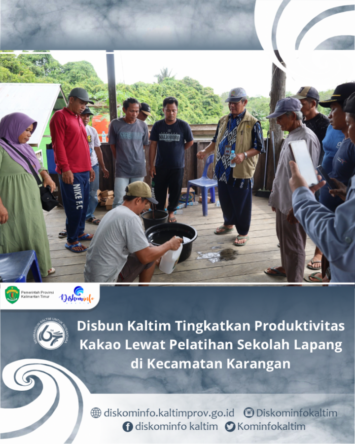 Disbun Kaltim Tingkatkan Produktivitas Kakao Lewat Pelatihan Sekolah Lapang di Kecamatan Karangan