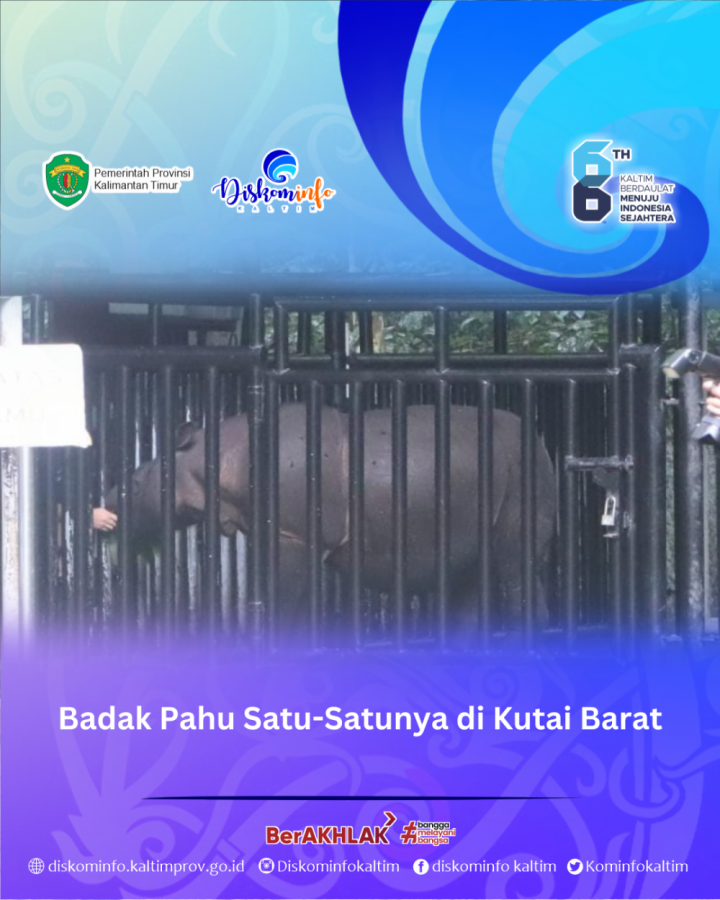 Badak Pahu Satu-Satunya di Kutai Barat