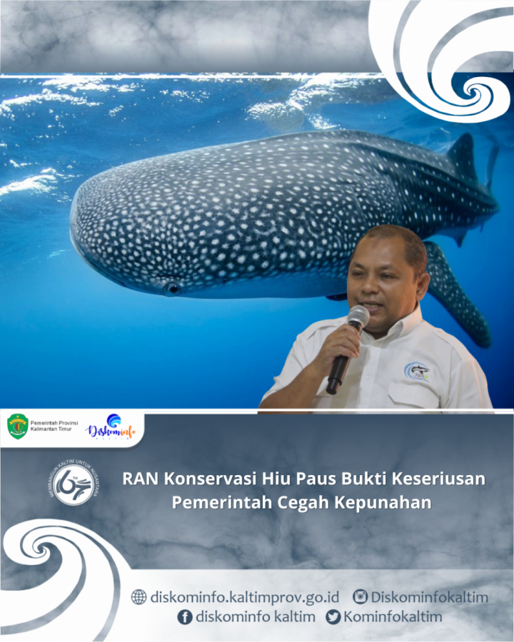 RAN Konservasi Hiu Paus Bukti Keseriusan Pemerintah Cegah Kepunahan