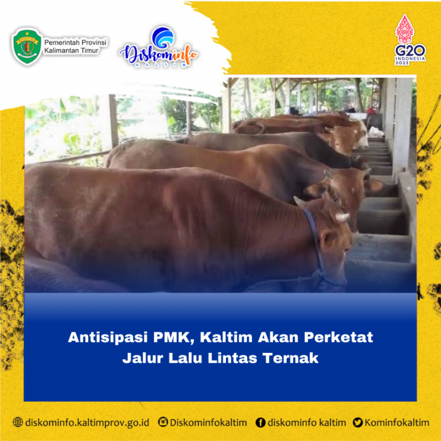 Antisipasi PMK, Kaltim Akan Perketat Jalur Lalu Lintas Ternak