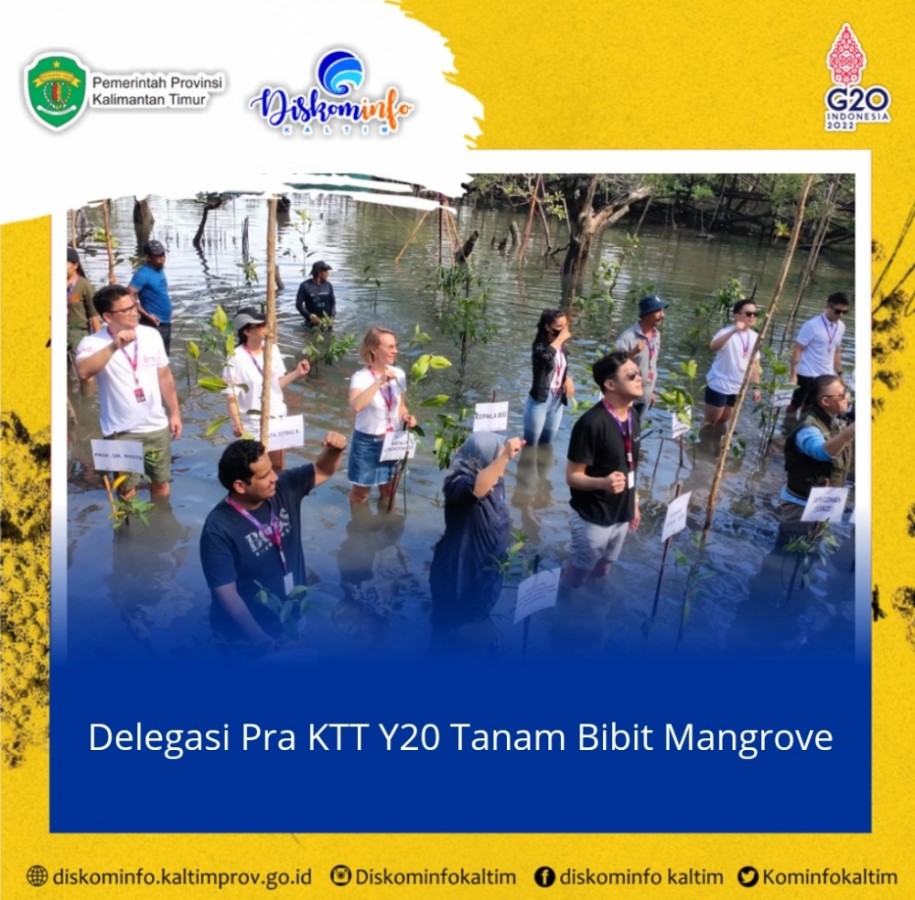 Delegasi Pra KTT Y20 Tanam Bibit Mangrove