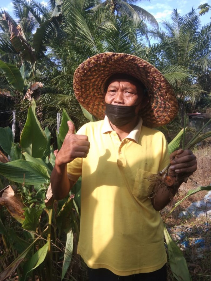 IKN Baru, Tidak Hanya Sepaku Yang Maju Namun Petani Pun Optimis Maju