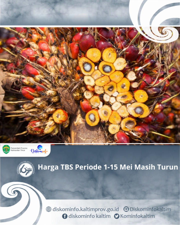 Harga TBS Periode 1-15 Mei Masih Turun