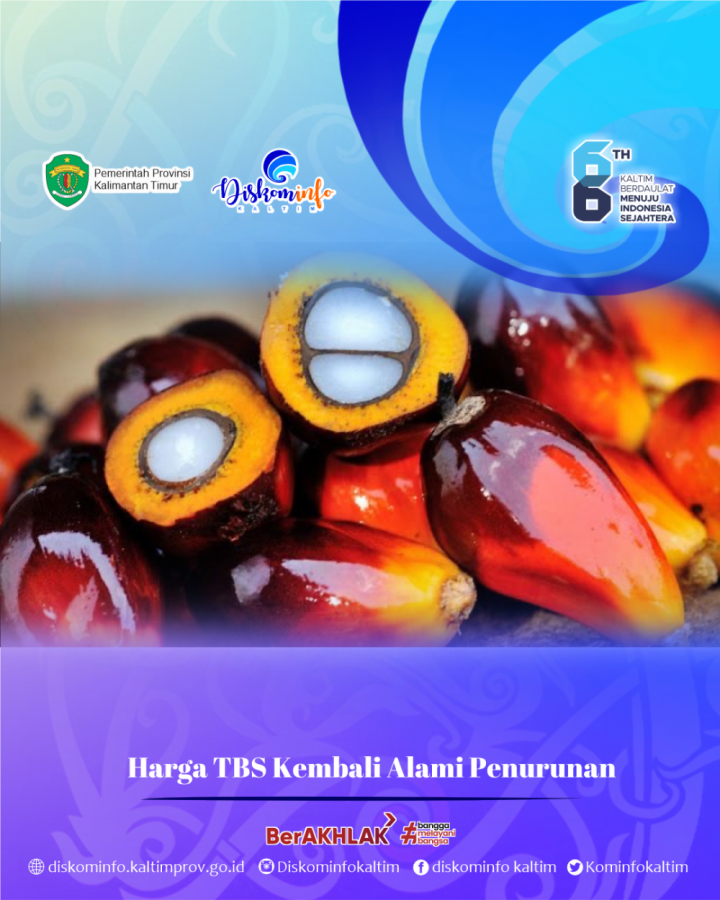 Harga TBS Kembali Alami Penurunan