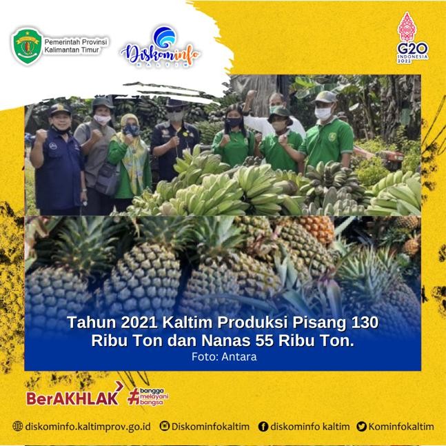 Tahun 2021 Kaltim Produksi Pisang 130 Ribu Ton dan Nanas 55 Ribu Ton