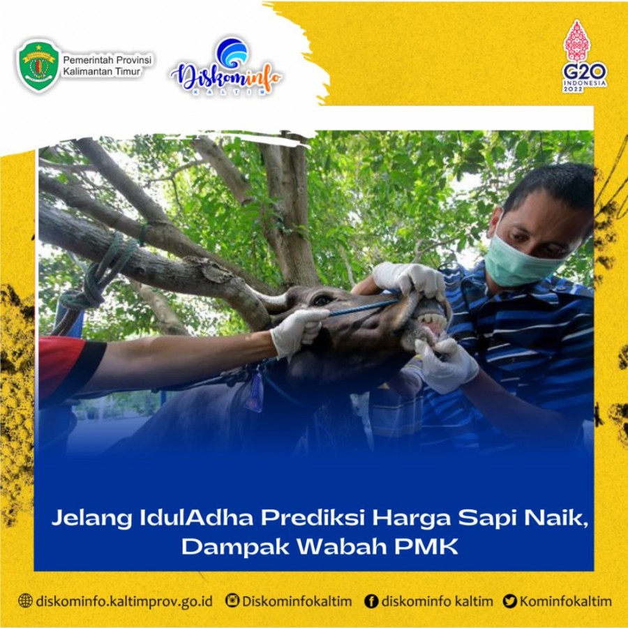 Jelang IdulAdha Prediksi Harga Sapi Naik, Dampak Wabah PMK