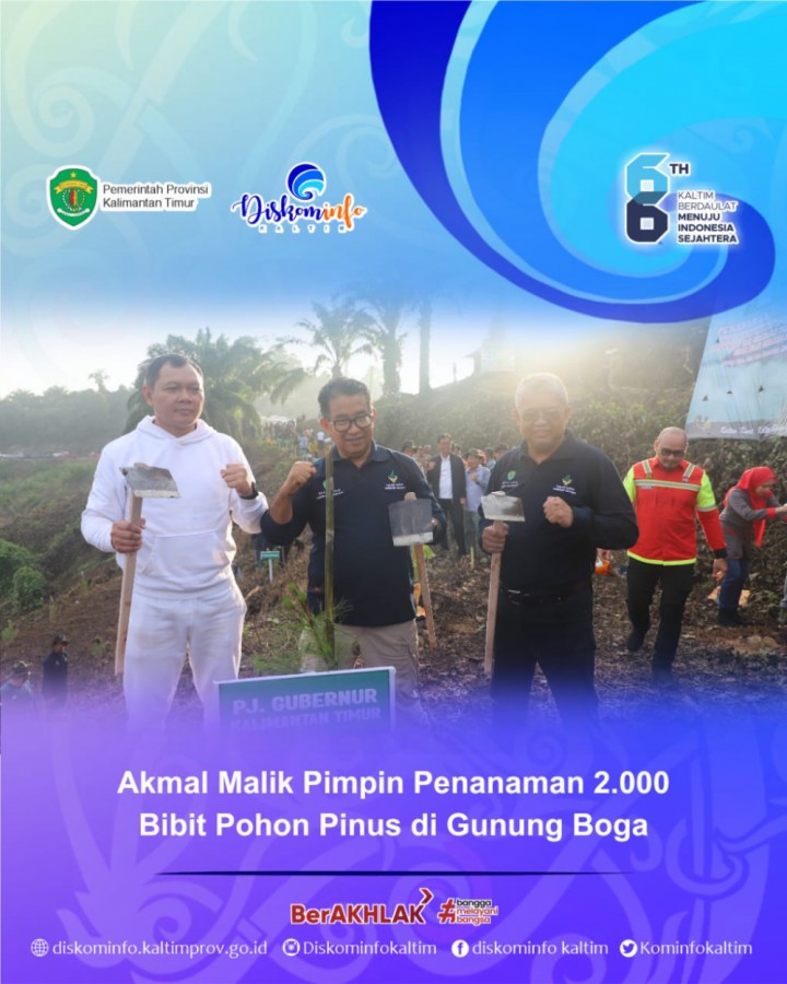 Akmal Malik Pimpin Penanaman 2.000 Bibit Pohon Pinus di Gunung Boga