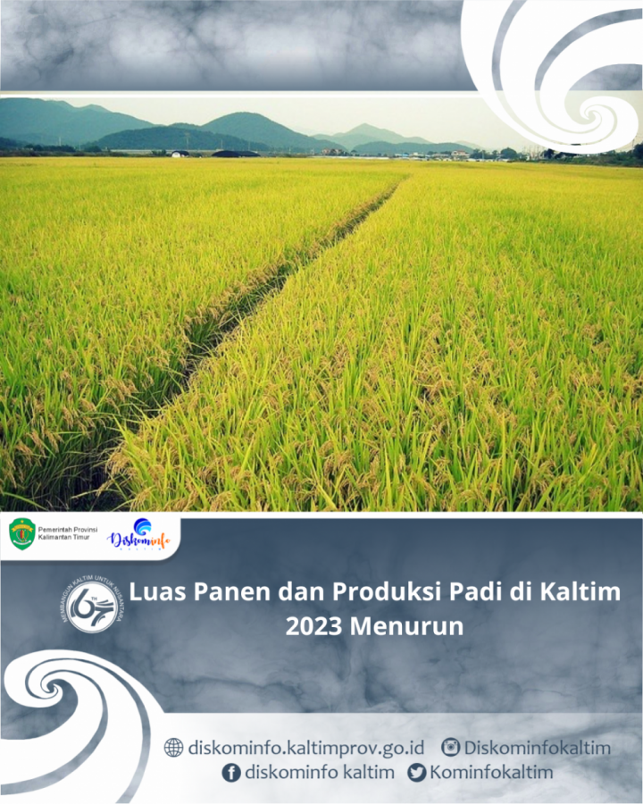 Luas Panen dan Produksi Padi di Kaltim 2023 Menurun