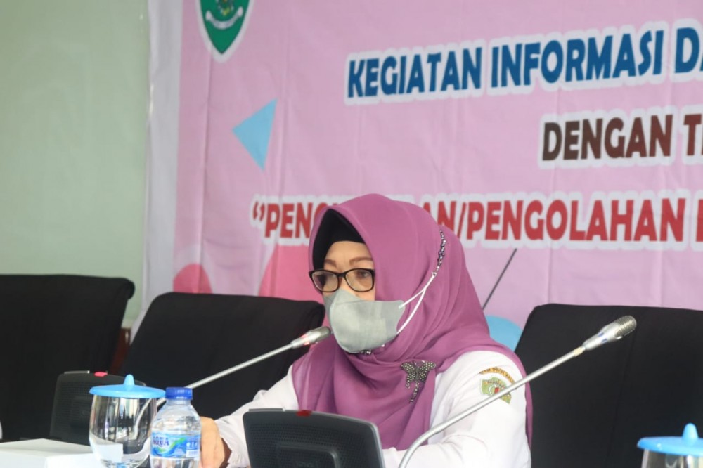 Data Terpilah Wujudkan Pembangunan Responsif Gender