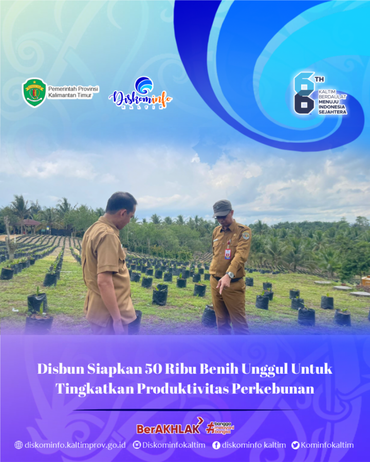 Disbun Siapkan 50 Ribu Benih Unggul Untuk Tingkatkan Produktivitas Perkebunan